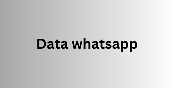 data whatsapp