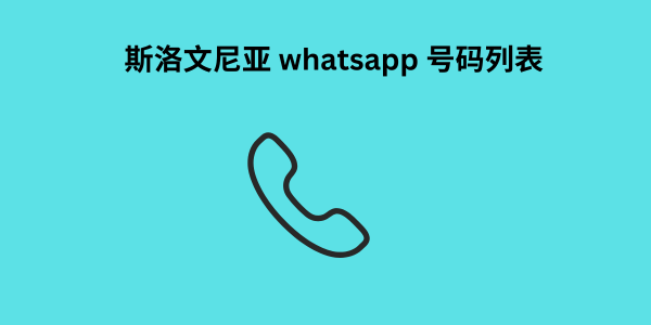 斯洛文尼亚 whatsapp 号码列表